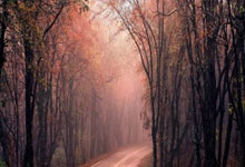 K1体育:话题 | 6月两场“生死战” 国足提前要做的事不少.