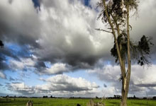 K1体育:三人篮球亚洲杯中国队日本队.