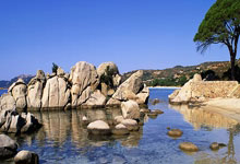 K1体育:哈尔滨亚冬会倒计时10天:筹办工作已就绪 中国军团争佳绩中国新闻网.